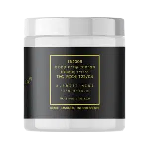 caed7236-efae-4dd2-a34e-959726718c8e_resized-Photoroom